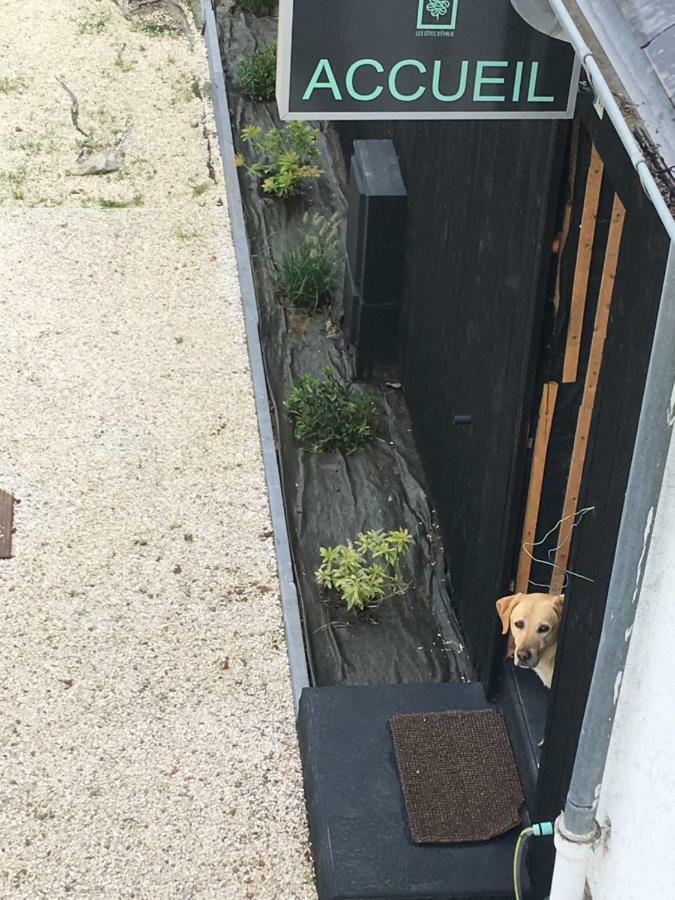 Les D'emilie Apartamento