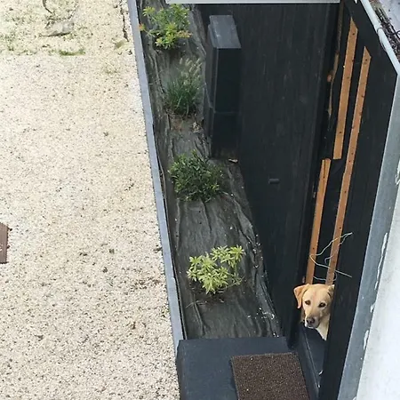 Les Gites D'Emilie Melesse Exterior foto